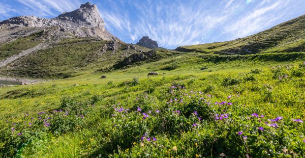 le tour des lacs et retour par la combe de l'Aiguille Noire - Trail itinerary